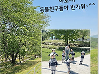 하늘목장에 다녀왔어요.~..