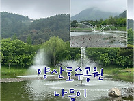 5월 2주 - 양산호수공원 ..