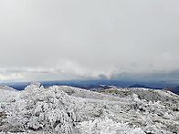 12월1일 한라산 첫눈산행