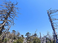 한라산