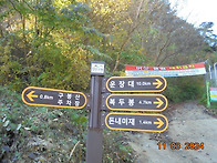 전남 진안 구봉산