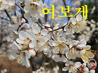 여보게 친구님