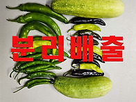 현금복 쌤 근황