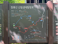 😀제 202회차 ..
