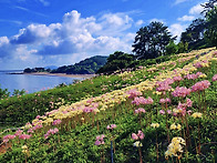 제 407차 뚜벅이산악회 변..
