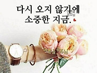 25년 가을 정모-조촐하지만..