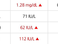 이식후 간수치....