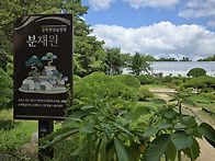 경주여행/ 경북천년숲정원