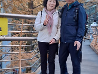 338차 대전 장태산흔적