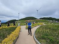평창 청옥산 육백마지기