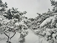 1.28.30 관악산 다이어트