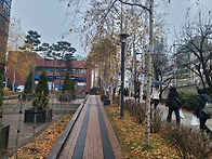 2025년 송년산행 관악산