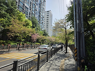 4/18 불암산 산행