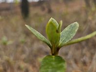 2026.3.21.시산제를마치고..