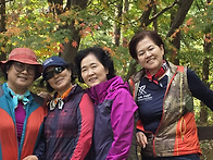 조령산 안올라간 사람들의..