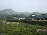 6월 정산