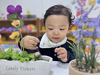향기로운 수선화반~&#127807;
