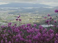 해남 주작산 입니다
