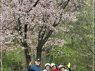 20260417 서화예술인골프 ..