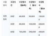 1:1전화 중국어 과외