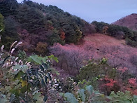 지리산 산행