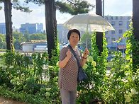 안양천 걷기운동