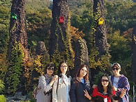 2018 가을 단풍구경