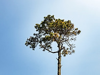 예산,아산에서