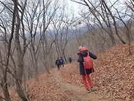 내가 토요일을 기..