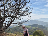 전남 여수 영취산