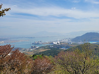 전남 여수 영취산