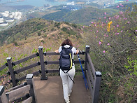 전남 여수 영취산