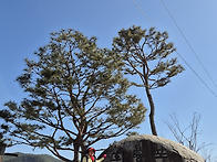 경북 예천 회룡포