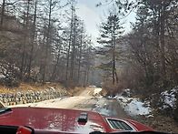 오랜만에 산속 캠핑