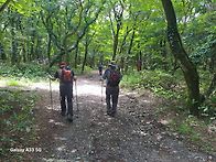 천아숲길