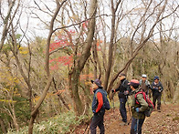 삼다수숲길 사려니숲길 절..