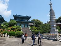 효명사 고살리길 영천악 ..