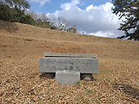 김해김씨 도사공파 14세손..