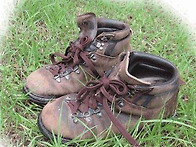 무엇을 안고 죽어갈 것인가..