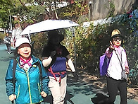 단체사진 2(26...