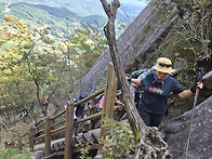 2026.10.10. 황매산 모산..