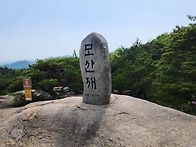 황매산 철쭉축제(25.5.8..