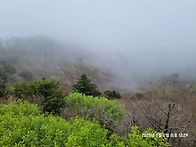 연인산 일요산행에..