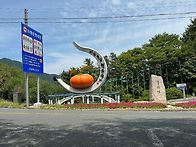 7.13일 헐티재 팥..