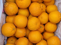 제주 하우스 한라..