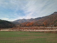 영남알프스 양산 영축산 ..