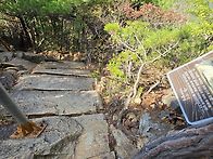 창녕 화왕산(풍경..