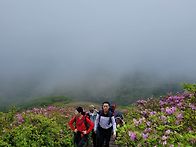 250510 일림산 개..