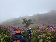 일림산 즐거운산행..