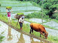 그리운~~ 고향생각